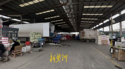 山東匡山農(nóng)產(chǎn)品交易市場(chǎng)解封 記者探訪 市場(chǎng)防疫保供兩不誤 蔬菜價(jià)格穩(wěn)中有降