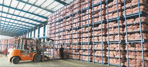 鄉(xiāng)村振興 一線 牽 服務(wù)民生謀發(fā)展